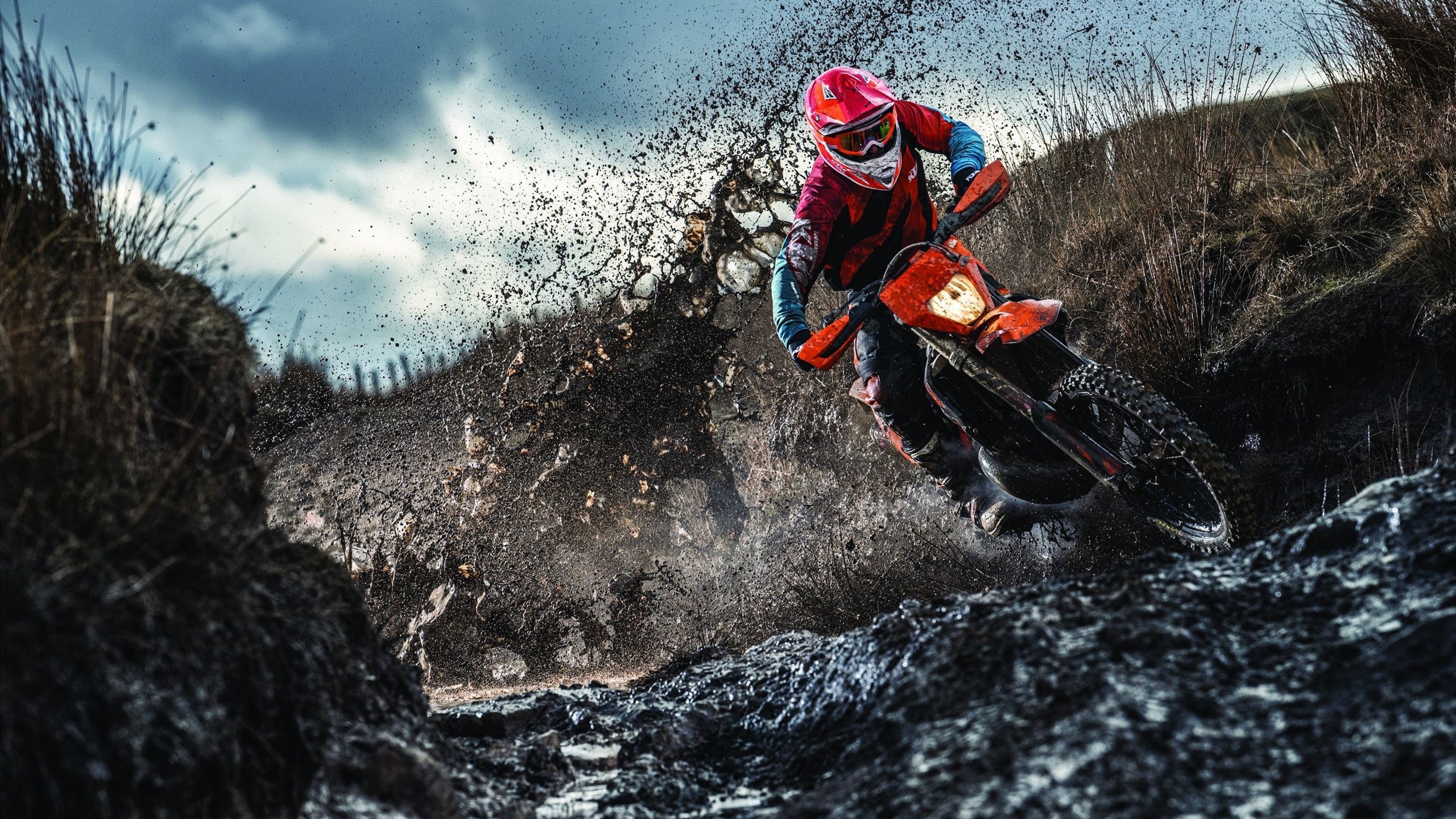 爱游戏体育网页版-_夜空星舞跑：月色下的浪漫运动体验_，舞夜星空简介