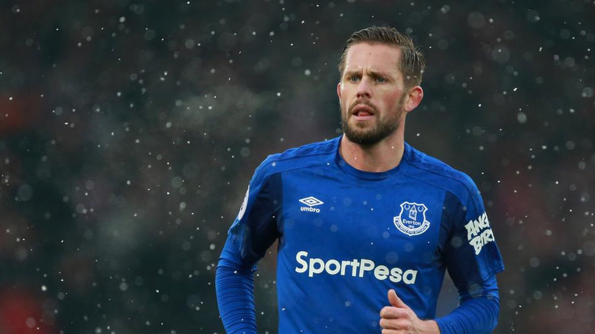 保利斯塔（Paulista），保利斯塔嘉宝果特点